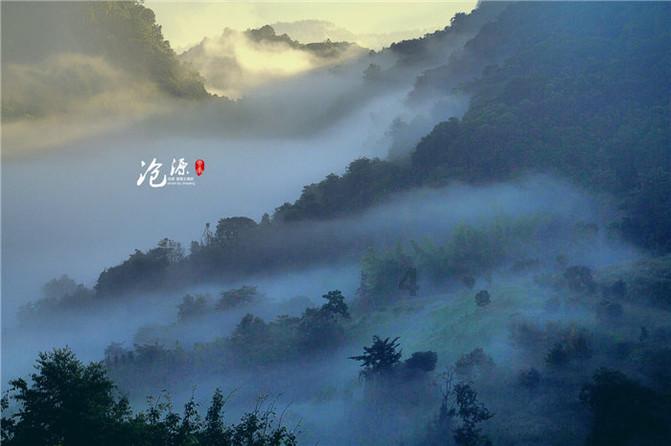 国王的坐骑